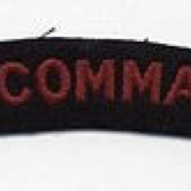 10 Commando Badge.jpg